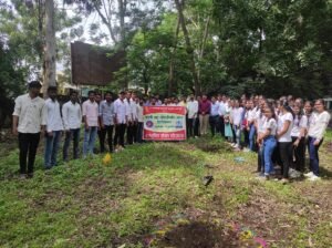 Tree Plantation Drive
