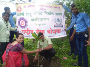 Tree Plantation